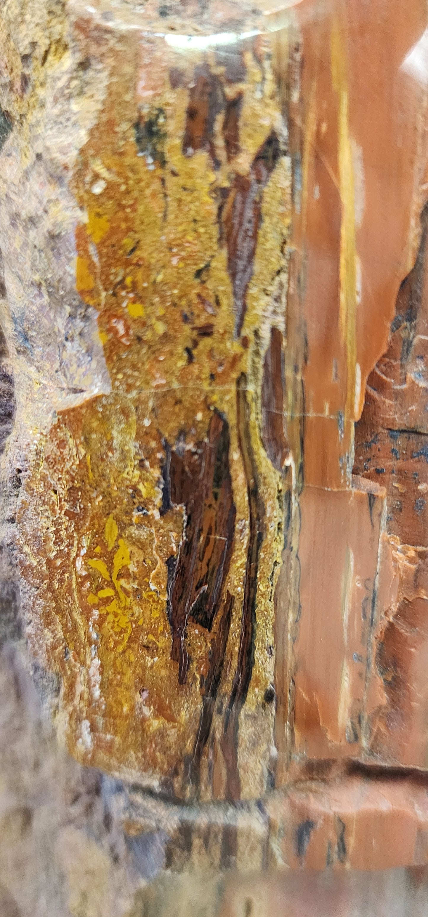 Arizona Rainbow Petrified wood log