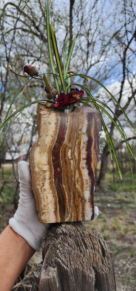 Seven Springs Onyx propagation vase